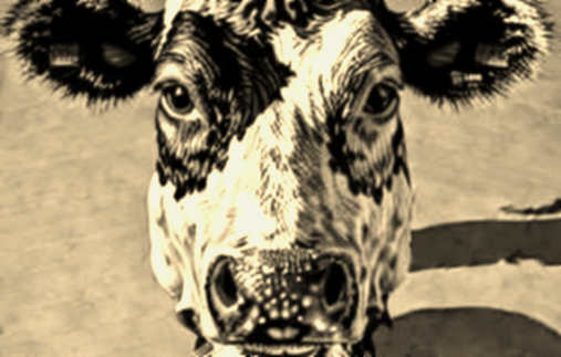 The Hidden Cost of Nvidia's Memory Diversification: Why Micron's Vera Rubin Win Could Be a Pyrrhic Victory The Hidden Cost of Nvidia's Memory Diversification: Why Micron's Vera Rubin Win Could Be a Pyrrhic Victory