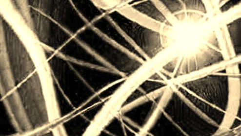 The Silence Speaks Louder: Decoding the Optical Rout in AI Infrastructure The Silence Speaks Louder: Decoding the Optical Rout in AI Infrastructure